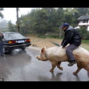 Nuša Lesar si je tako privoščila sodelavca
