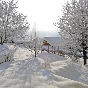 Spite zraven telefona? Poglejte, zakaj to ni zdravo in kaj najprej naredite